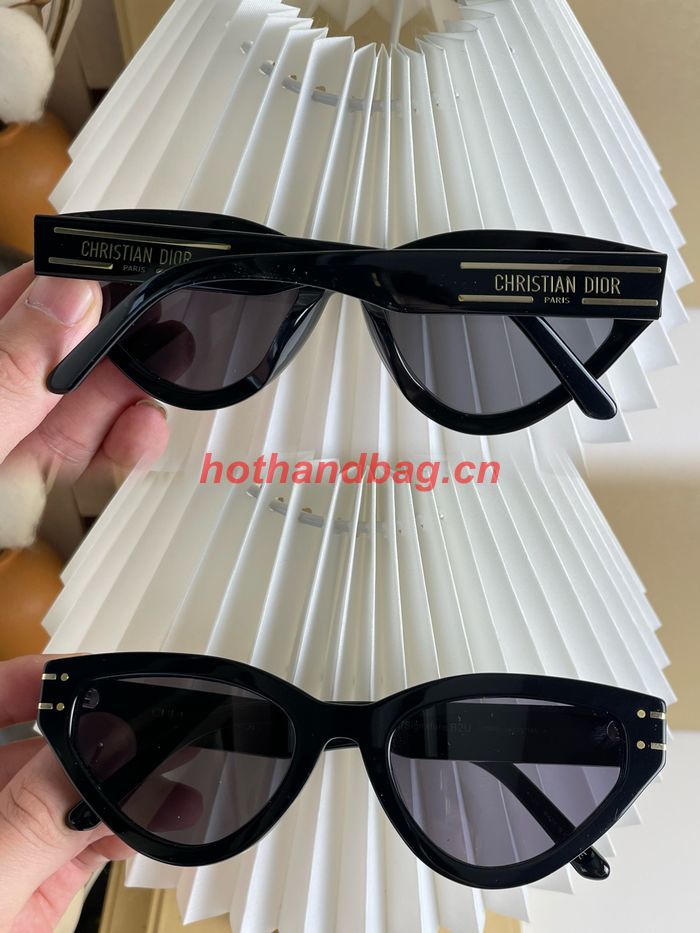 Dior Sunglasses Top Quality DIS01760