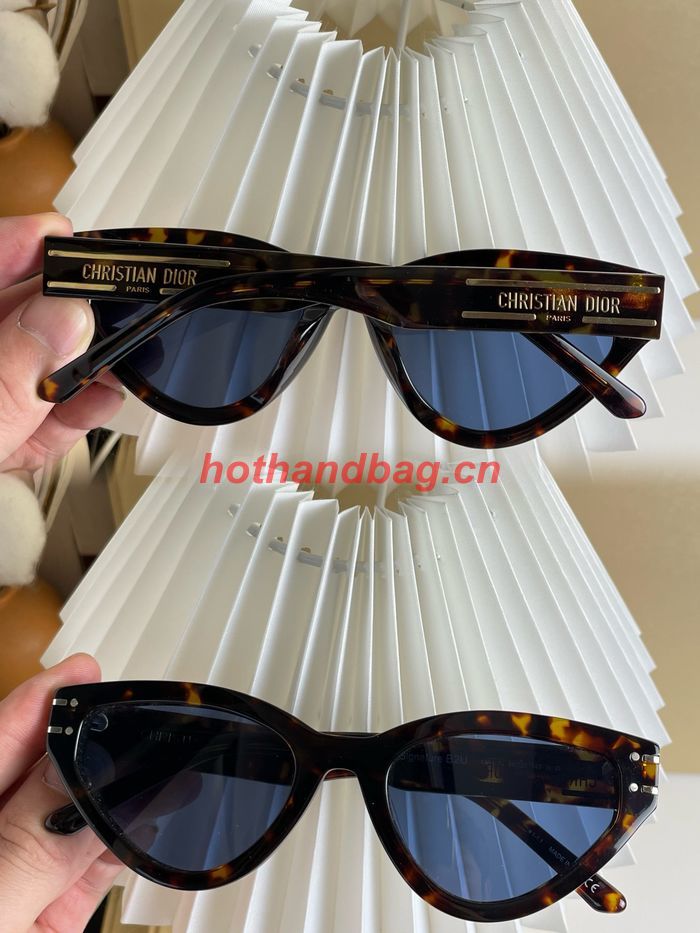Dior Sunglasses Top Quality DIS01761