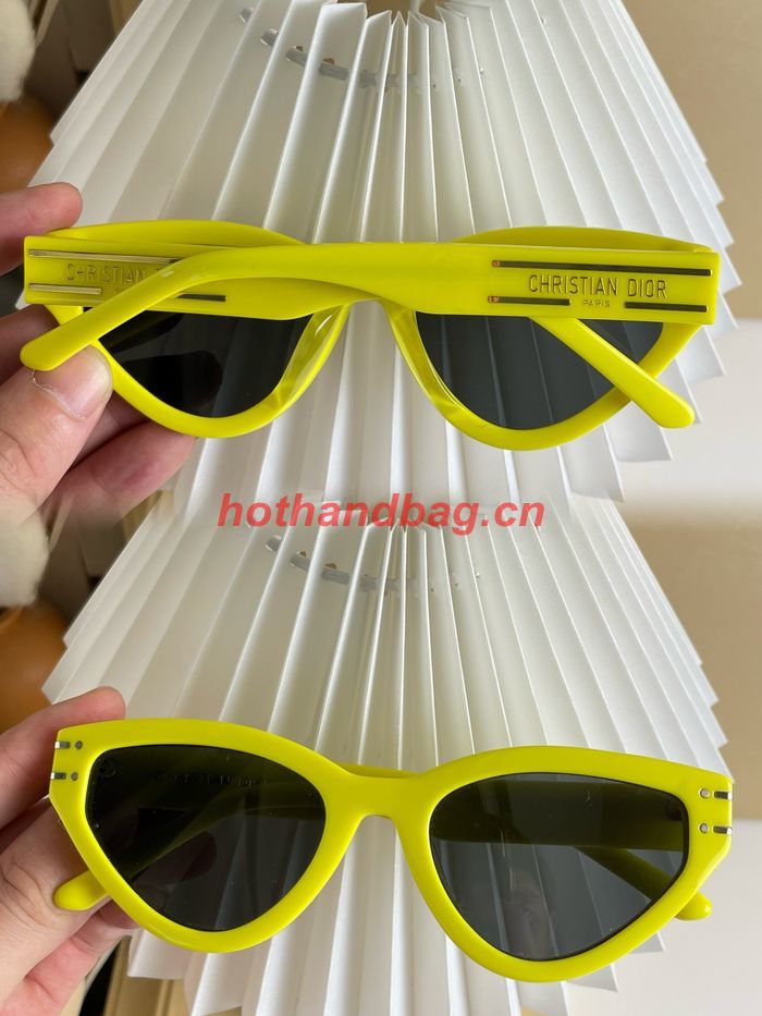Dior Sunglasses Top Quality DIS01762