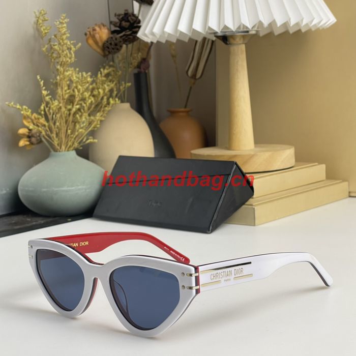 Dior Sunglasses Top Quality DIS01764
