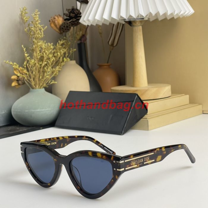 Dior Sunglasses Top Quality DIS01765