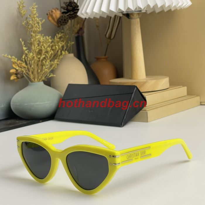 Dior Sunglasses Top Quality DIS01767