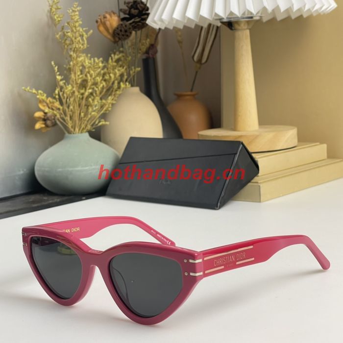 Dior Sunglasses Top Quality DIS01768