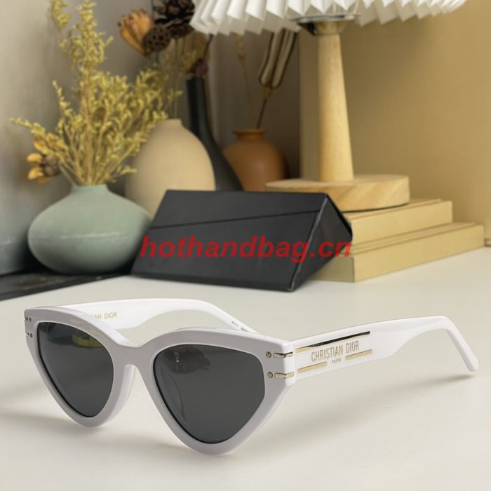 Dior Sunglasses Top Quality DIS01769