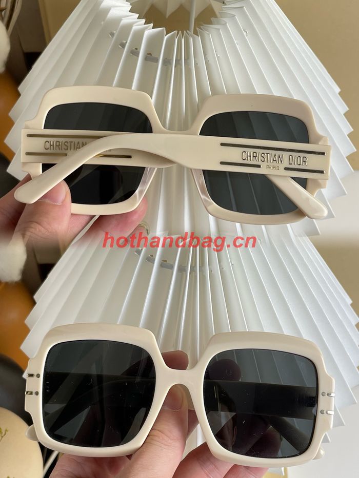 Dior Sunglasses Top Quality DIS01790
