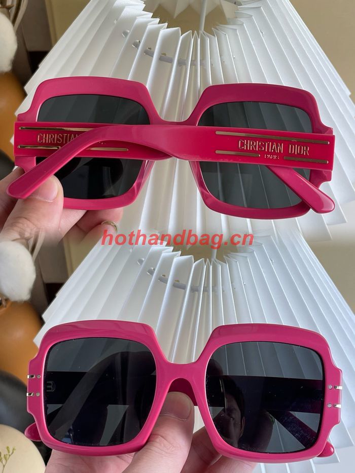 Dior Sunglasses Top Quality DIS01793