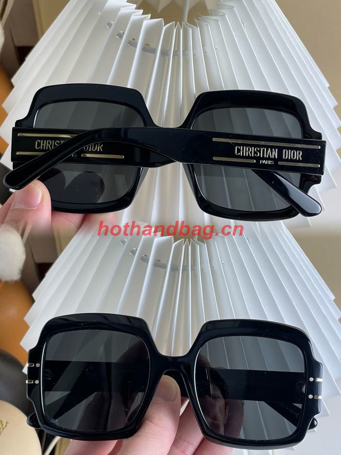 Dior Sunglasses Top Quality DIS01794