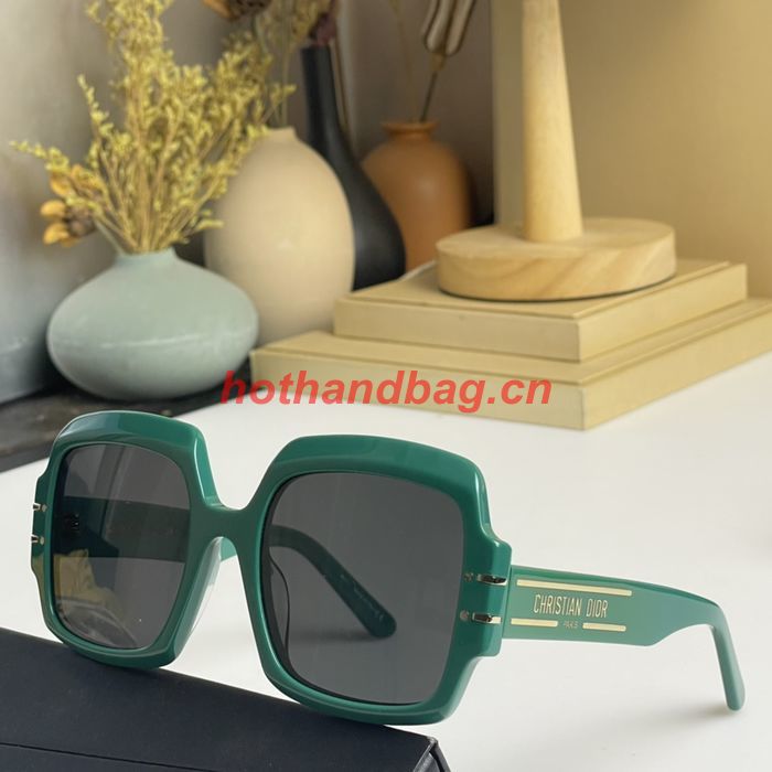 Dior Sunglasses Top Quality DIS01813