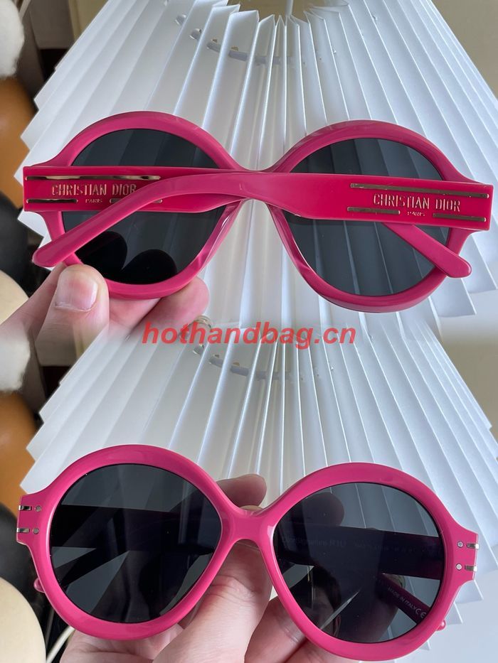 Dior Sunglasses Top Quality DIS01817