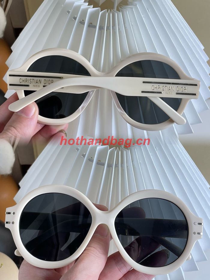 Dior Sunglasses Top Quality DIS01821