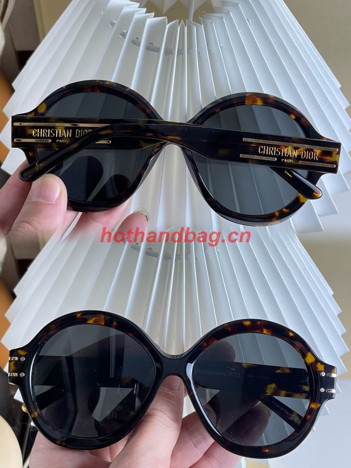 Dior Sunglasses Top Quality DIS01823
