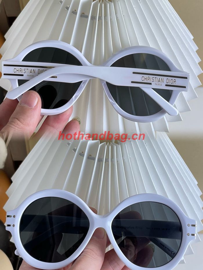 Dior Sunglasses Top Quality DIS01824