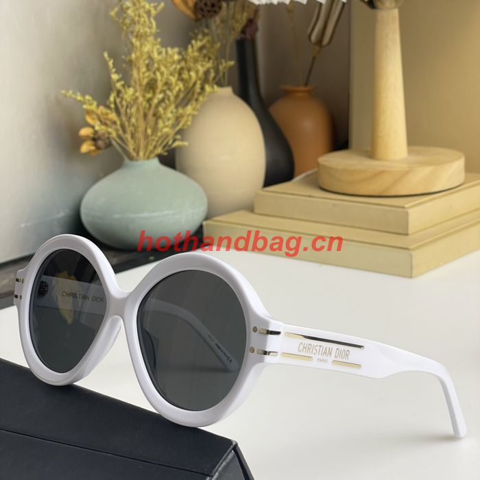 Dior Sunglasses Top Quality DIS01833