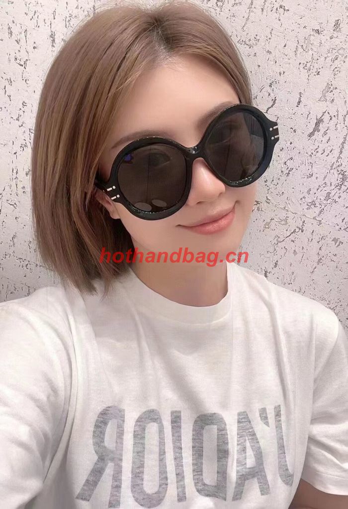 Dior Sunglasses Top Quality DIS01838