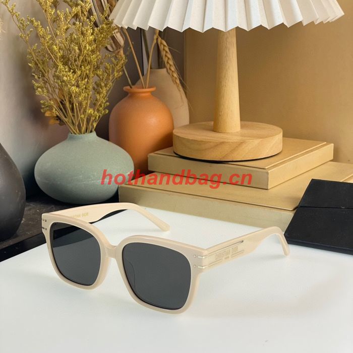 Dior Sunglasses Top Quality DIS01907