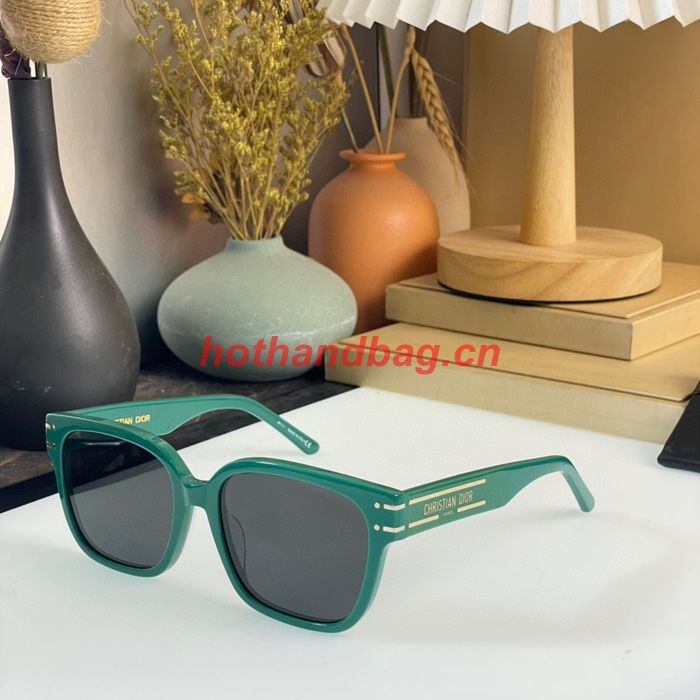 Dior Sunglasses Top Quality DIS01913
