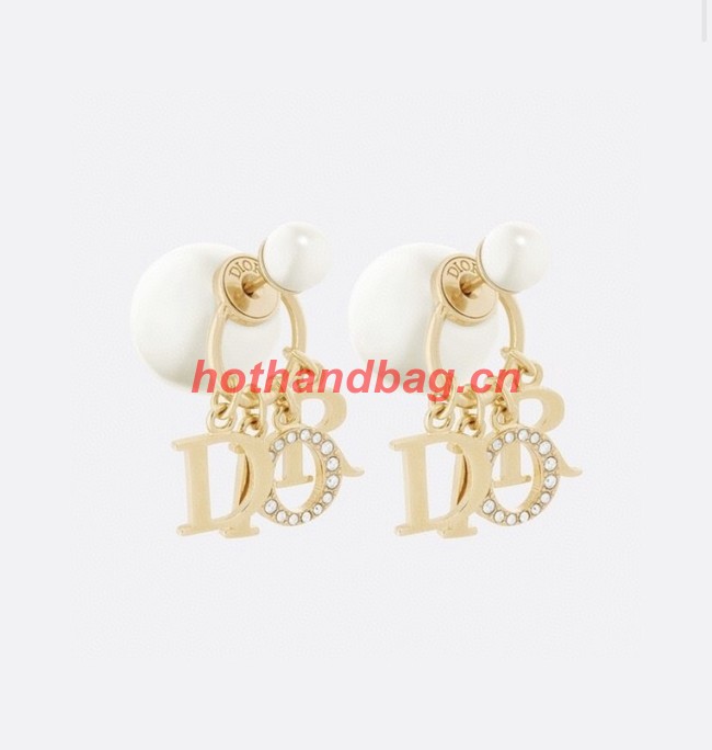 Dior Earrings CE10944