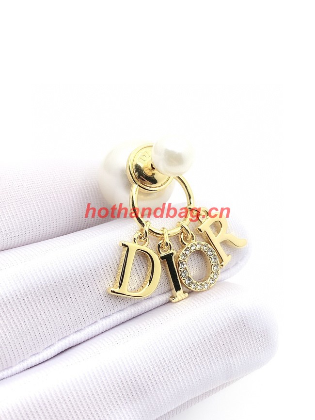 Dior Earrings CE10944