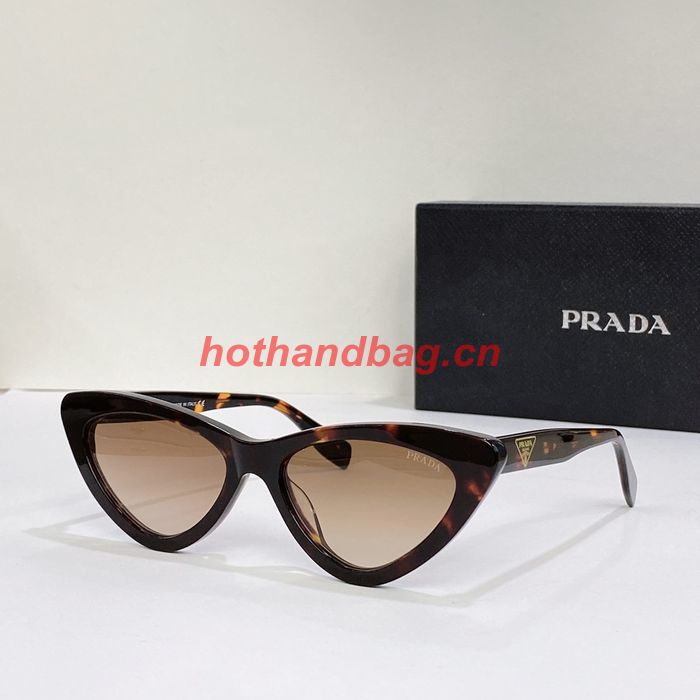 Prada Sunglasses Top Quality PRS01013