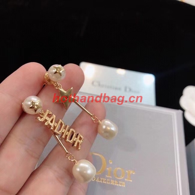 Dior Earrings CE11022