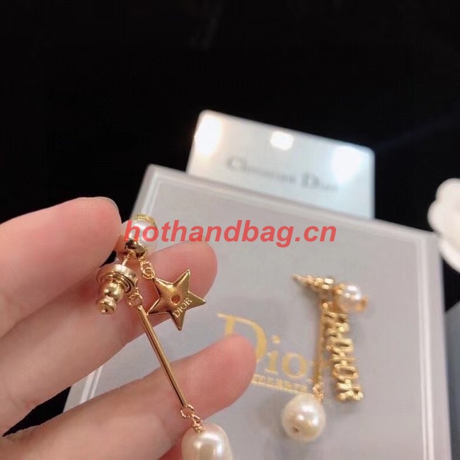 Dior Earrings CE11022