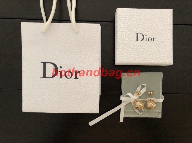 Dior Earrings CE11120