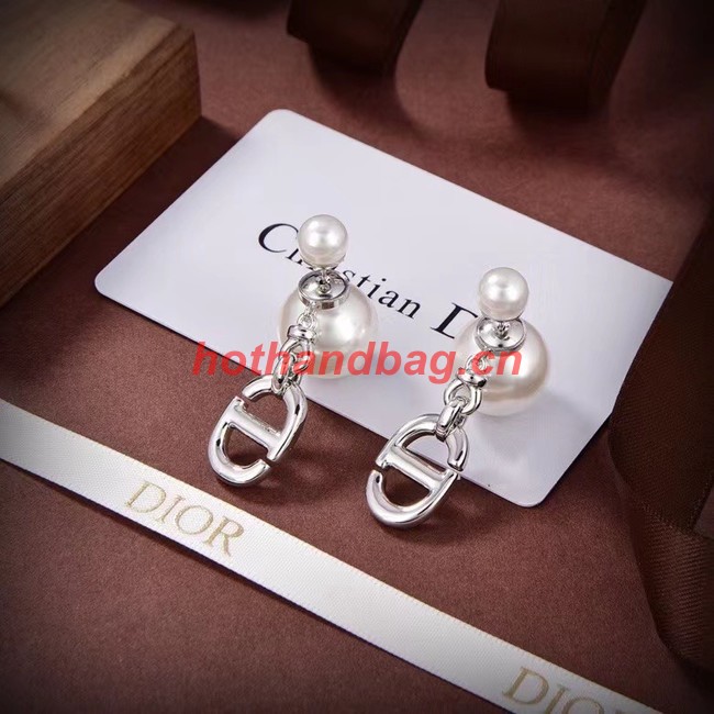 Dior Earrings CE11207