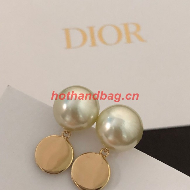 Dior Earrings CE11255