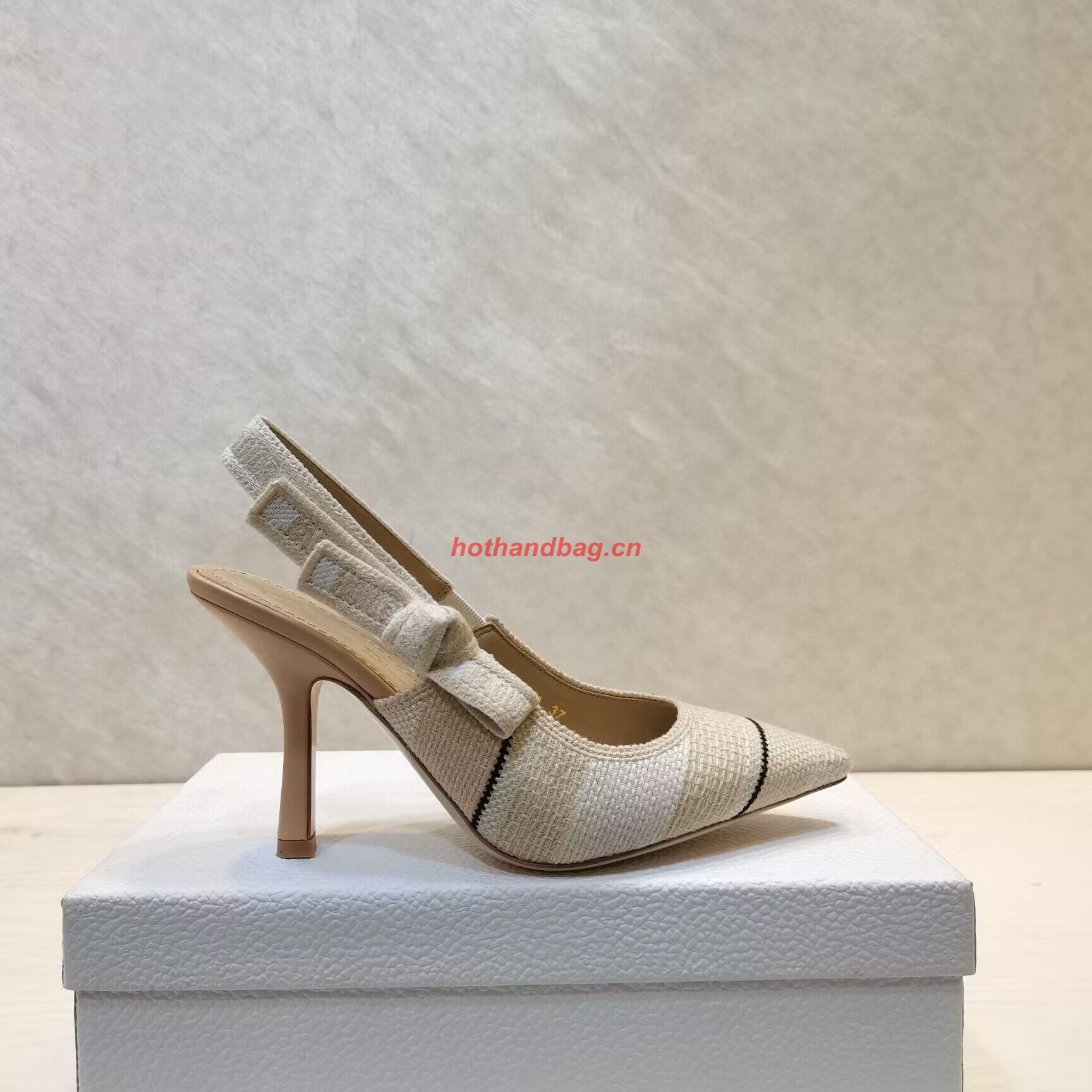 Dior Shoes DS6301