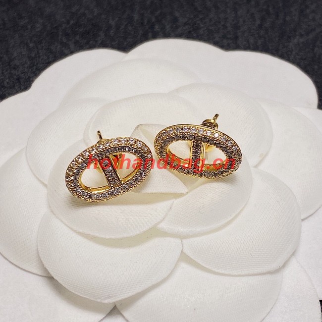 Dior Earrings CE11337