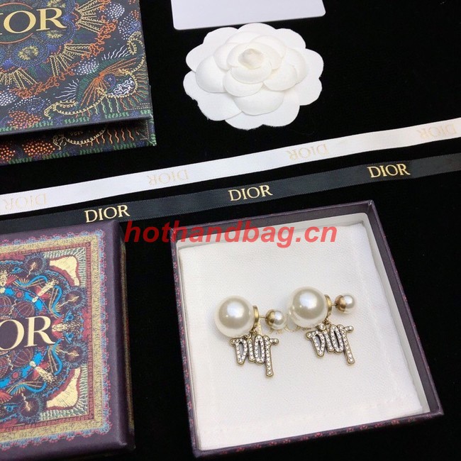 Dior Earrings CE11409