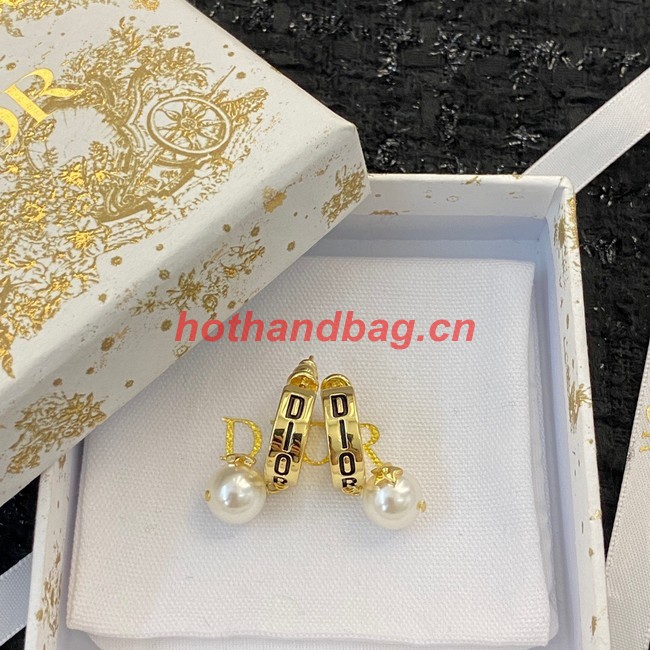 Dior Earrings CE11419