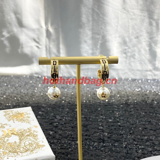 Dior Earrings CE11419