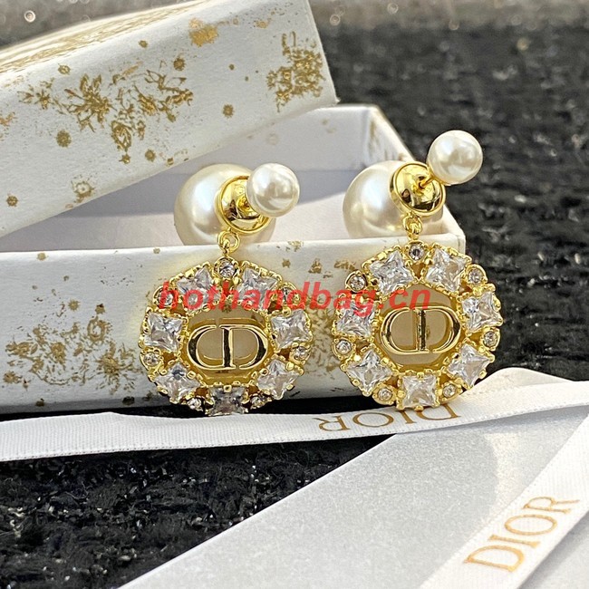 Dior Earrings CE11420