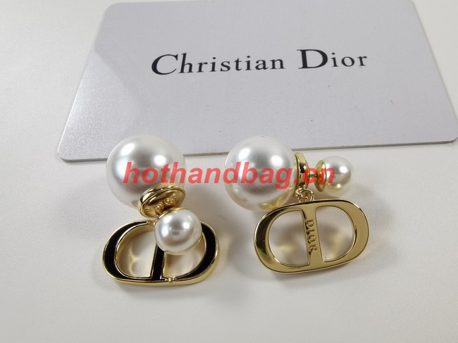 Dior Earrings CE11444