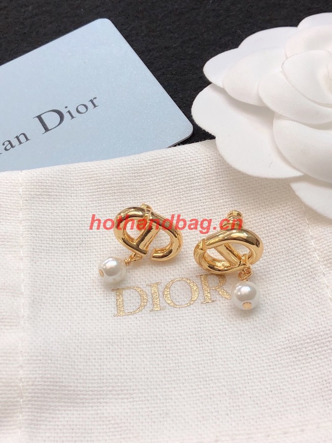 Dior Earrings CE11470