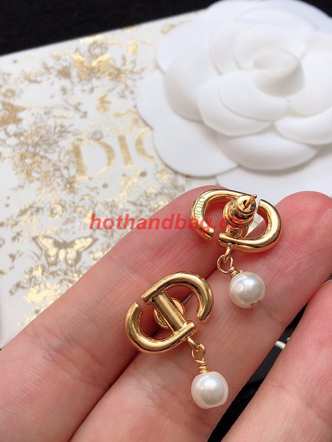 Dior Earrings CE11470