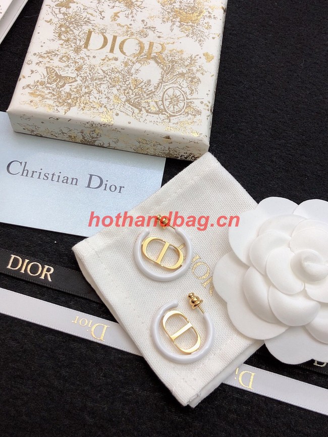 Dior Earrings CE11473