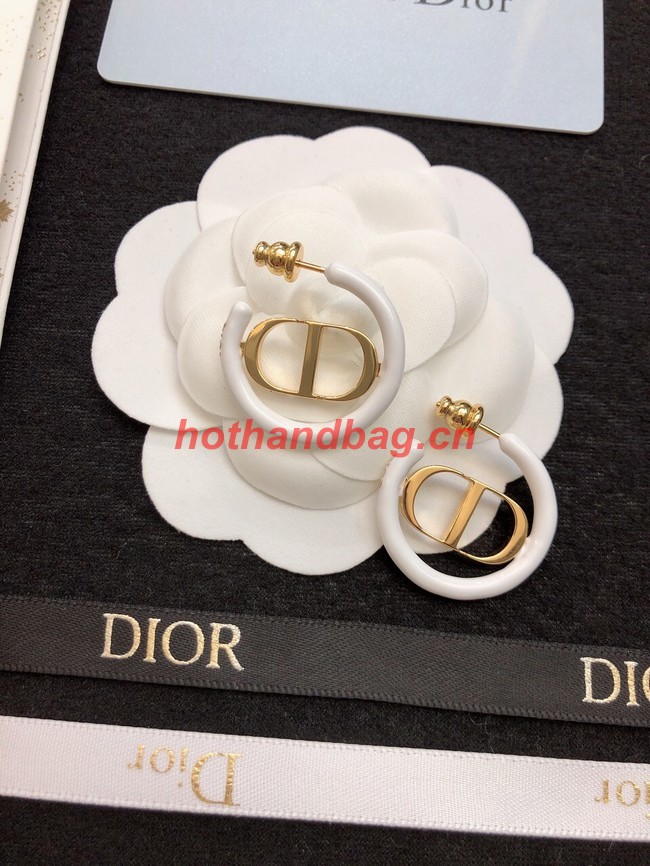 Dior Earrings CE11473