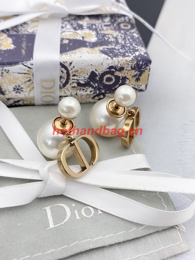 Dior Earrings CE11474