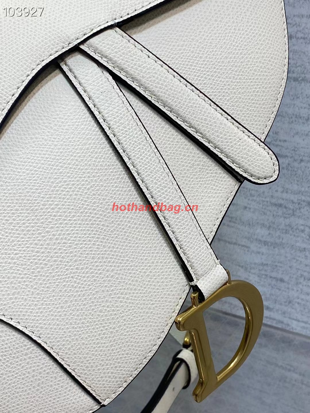 Dior SADDLE BAG WITH STRAP Latte Grained Calfskin M0455CBA 