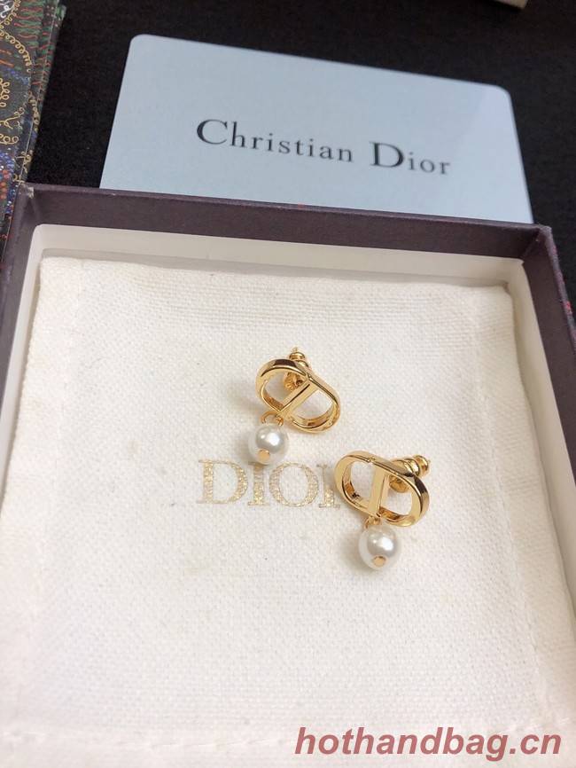 Dior Earrings CE11657