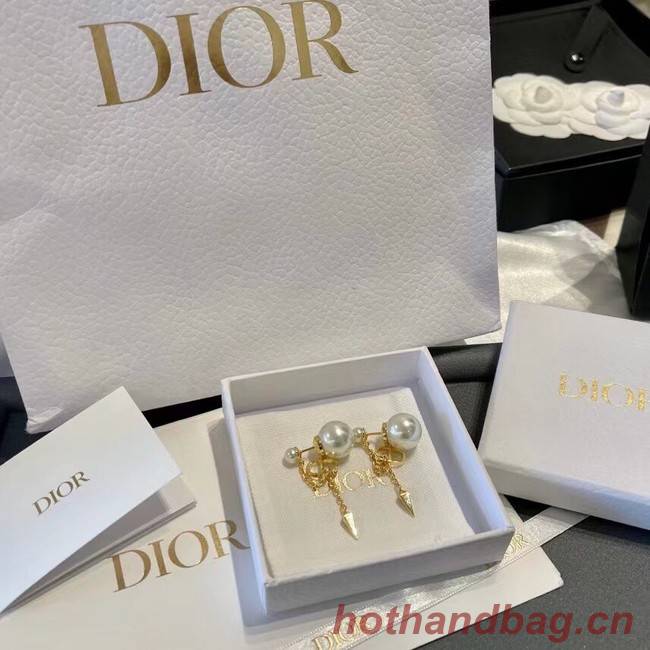 Dior Earrings CE11664