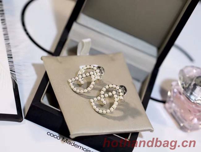 Dior Earrings CE11677