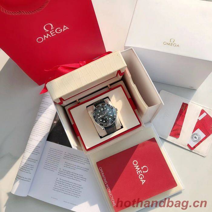 Omega Watch OMW00773