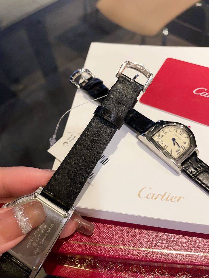 Cartier Watch CTW00213