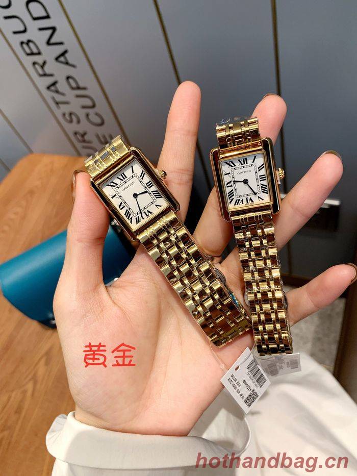 Cartier Watch CTW00225-2