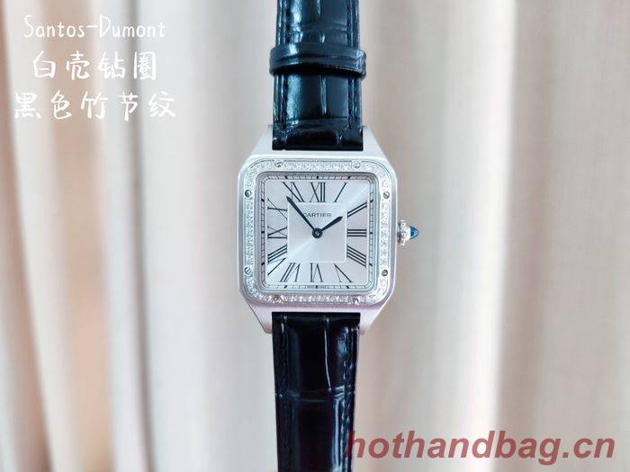 Cartier Watch CTW00232-1