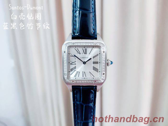 Cartier Watch CTW00232-2