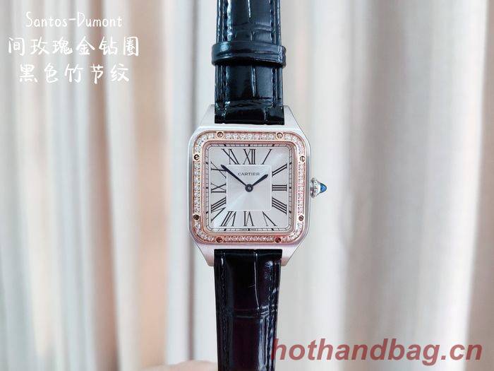 Cartier Watch CTW00233-1